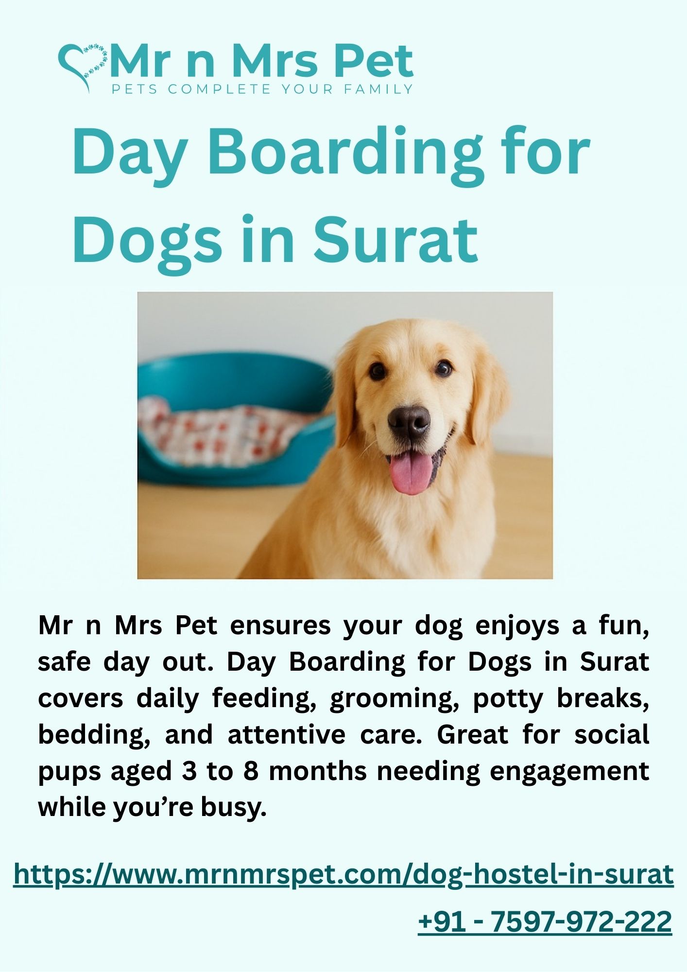 Day Boarding for Dogs in Surat